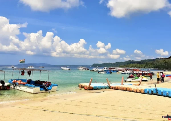 Visiting Elephant Beach: Essential Tips